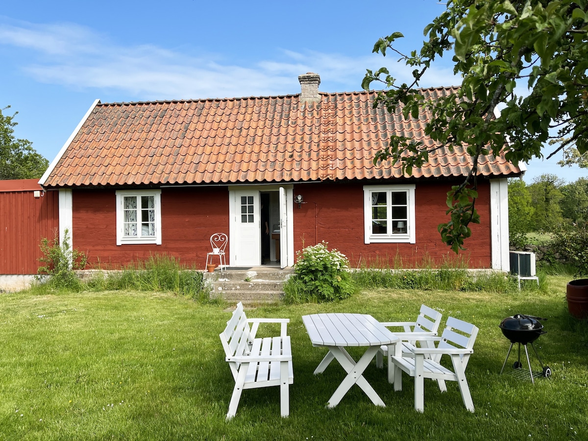 Nice cottage on Öland with grazing sheep in the su