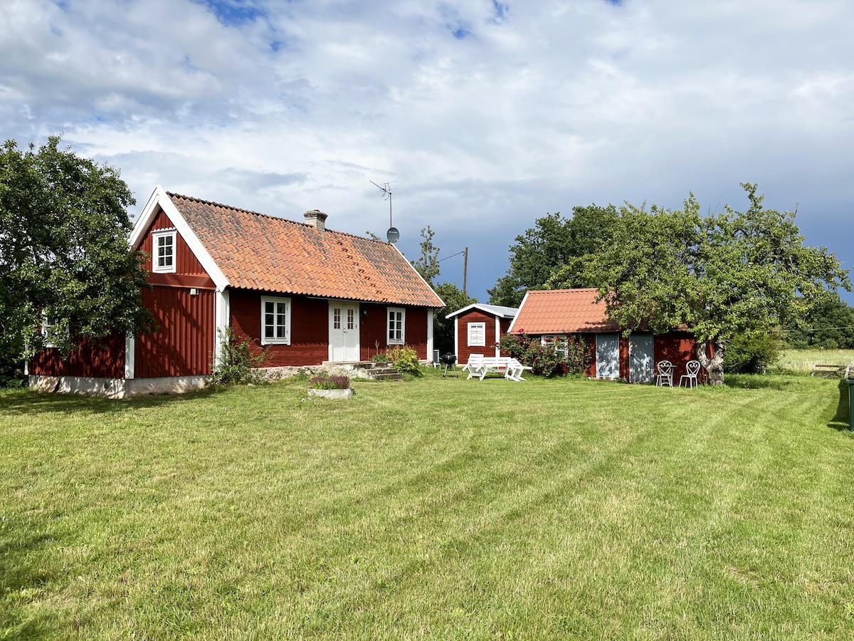 Nice cottage on Öland with grazing sheep in the su