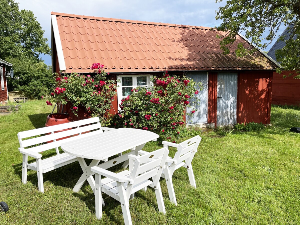 Nice cottage on Öland with grazing sheep in the su