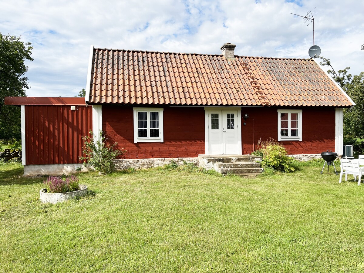 Nice cottage on Öland with grazing sheep in the su