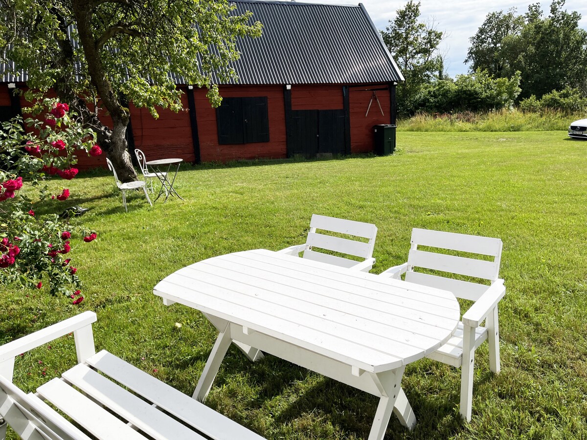 Nice cottage on Öland with grazing sheep in the su