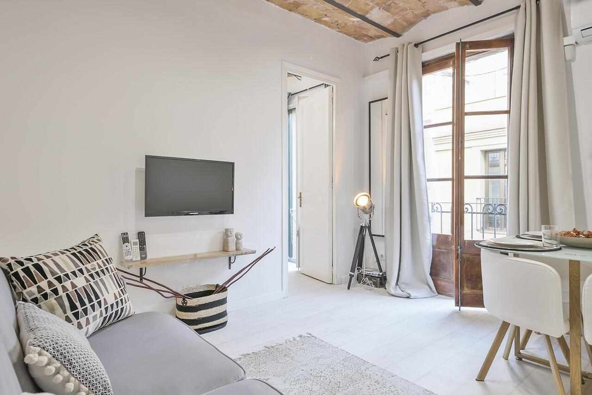 Apartamento Alejandro in BCN