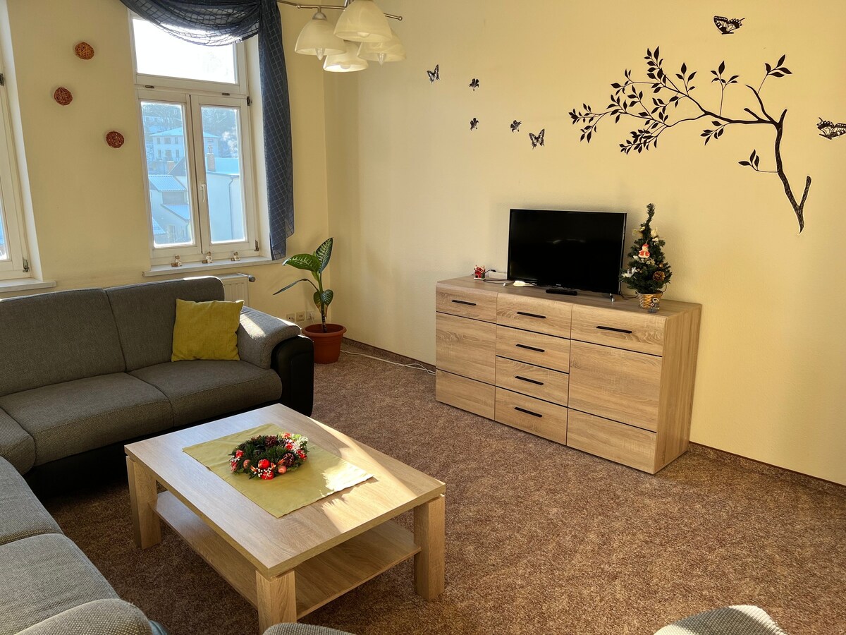 公寓/公寓，可容纳6位房客，面积110平方米，位于Wernigerode （ 242356 ）