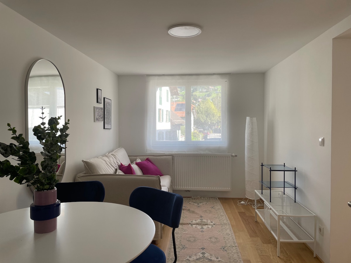 City Apartments Dornbirn Zentral und Gemütlich: Ih
