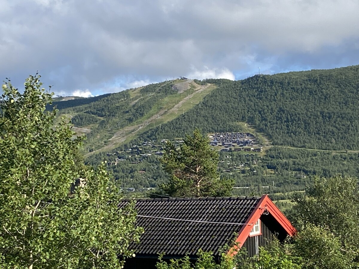 Cozy Hallingstue by Hallsteinsgård.