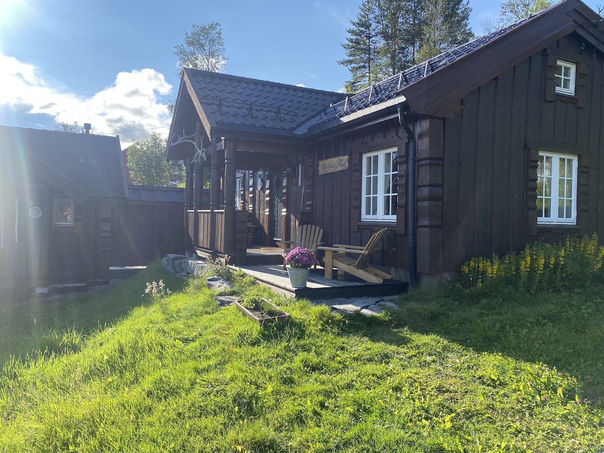 Cozy Hallingstue by Hallsteinsgård.