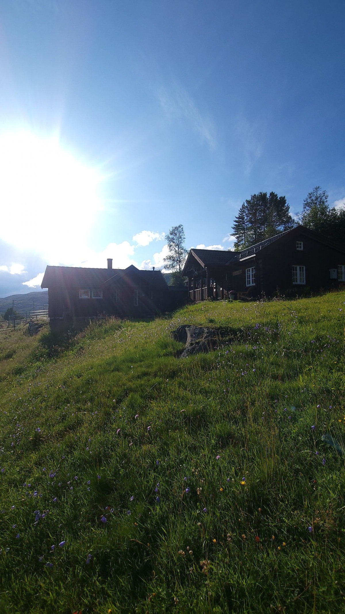 Cozy Hallingstue by Hallsteinsgård.