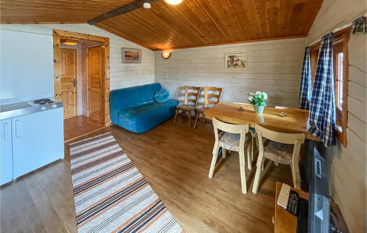 Beautiful home in Grue Finnskog with kitchen