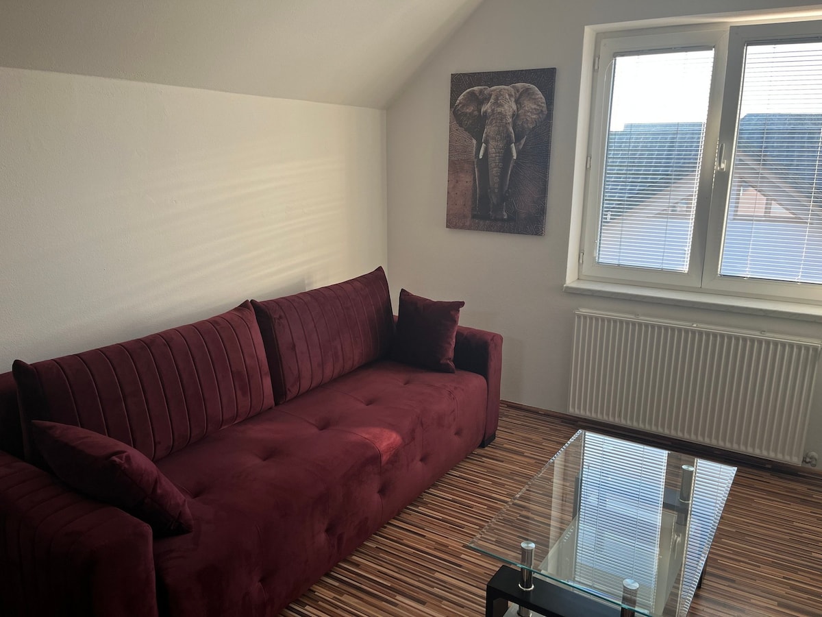 Duplex Apartment for four in Žirovnica near Bled