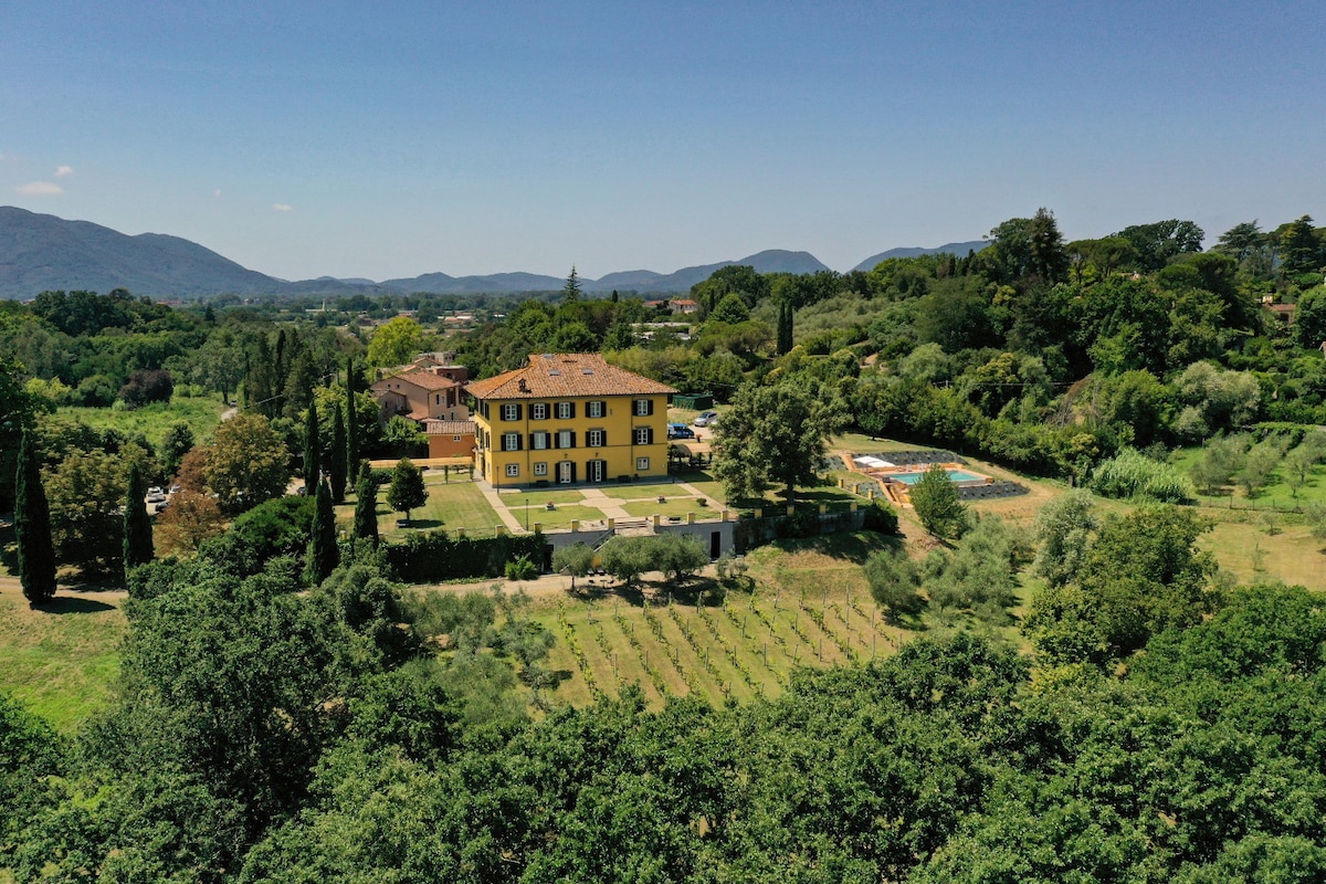 Villa Pacini - just 1,8 km outside Lucca Wall - Po