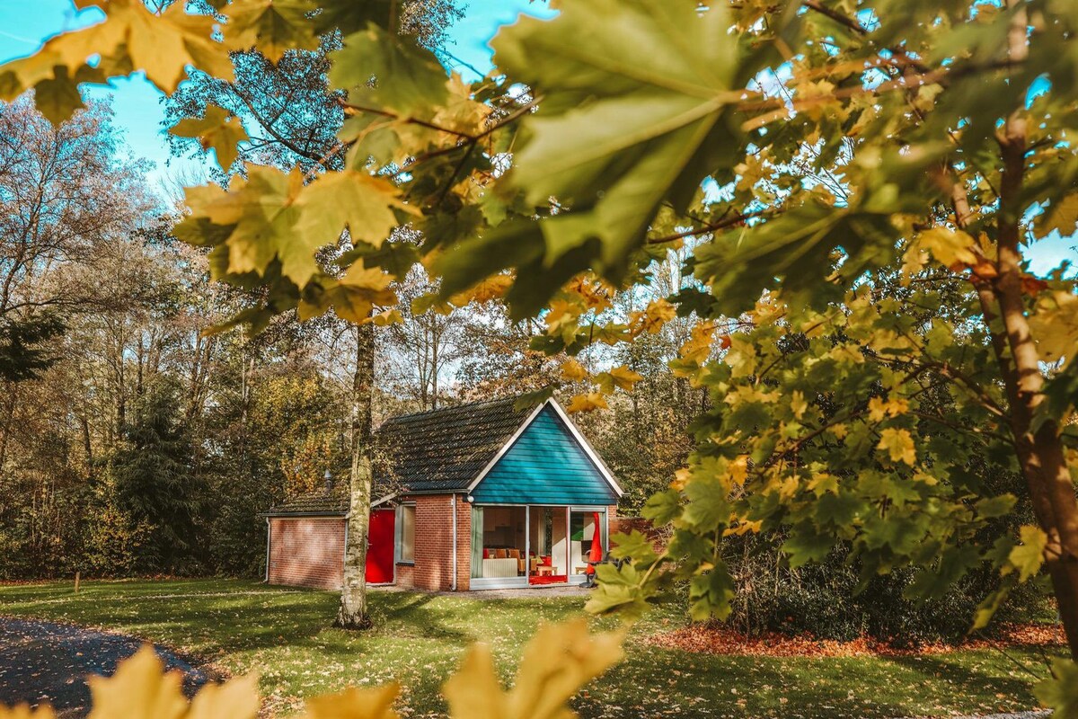 4-person Bungalow IJssel Plus