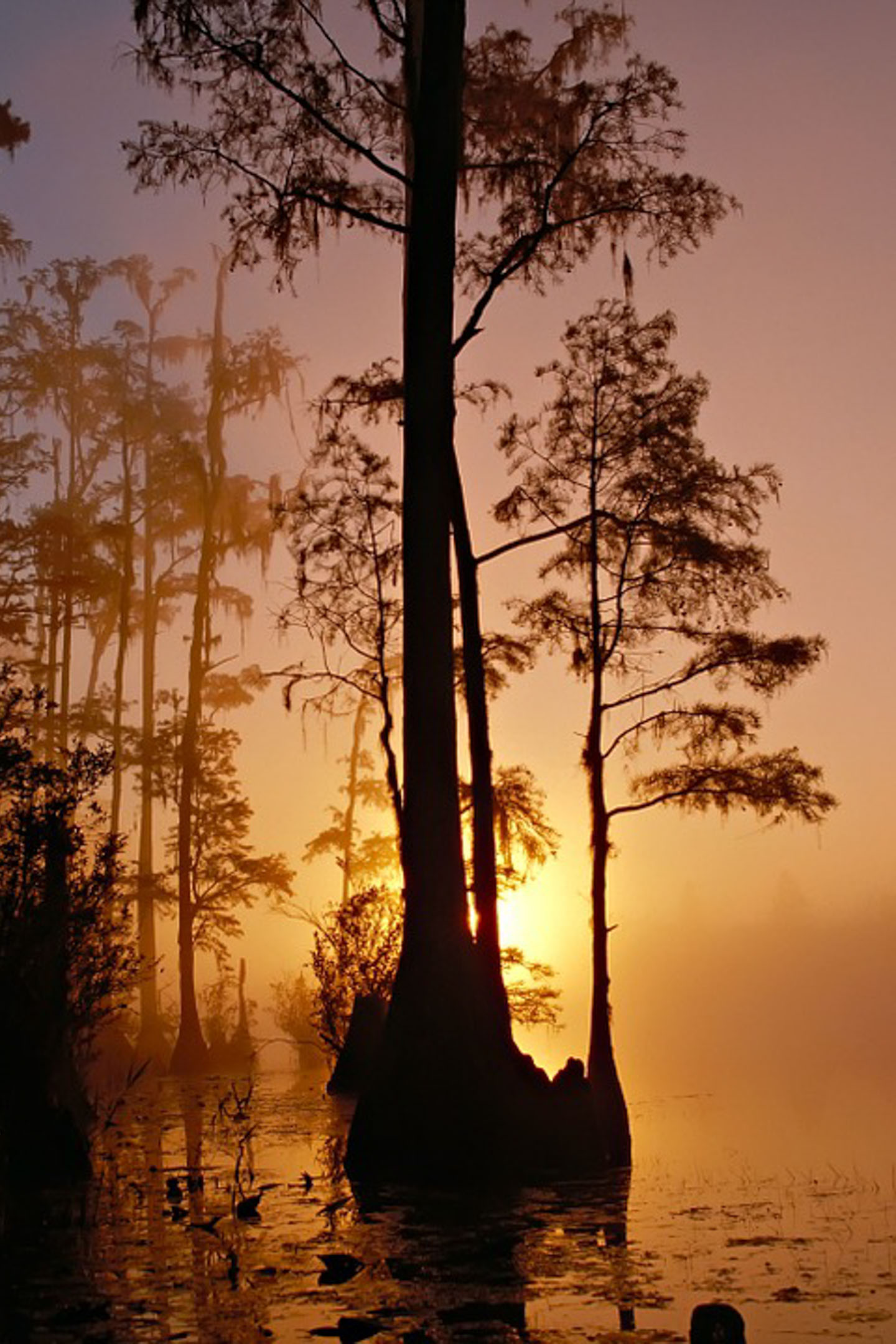 神秘的曼查克沼泽皮划艇之旅