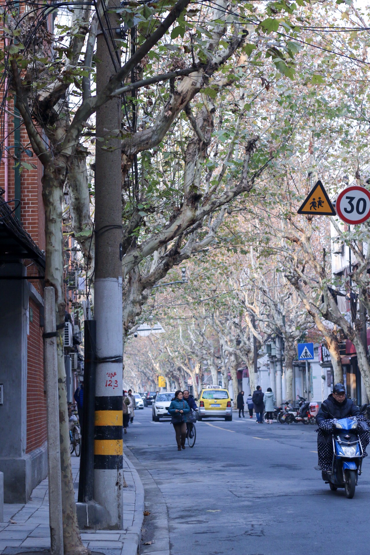 小辰光的味道,老底子额么事------深度品读山阴路