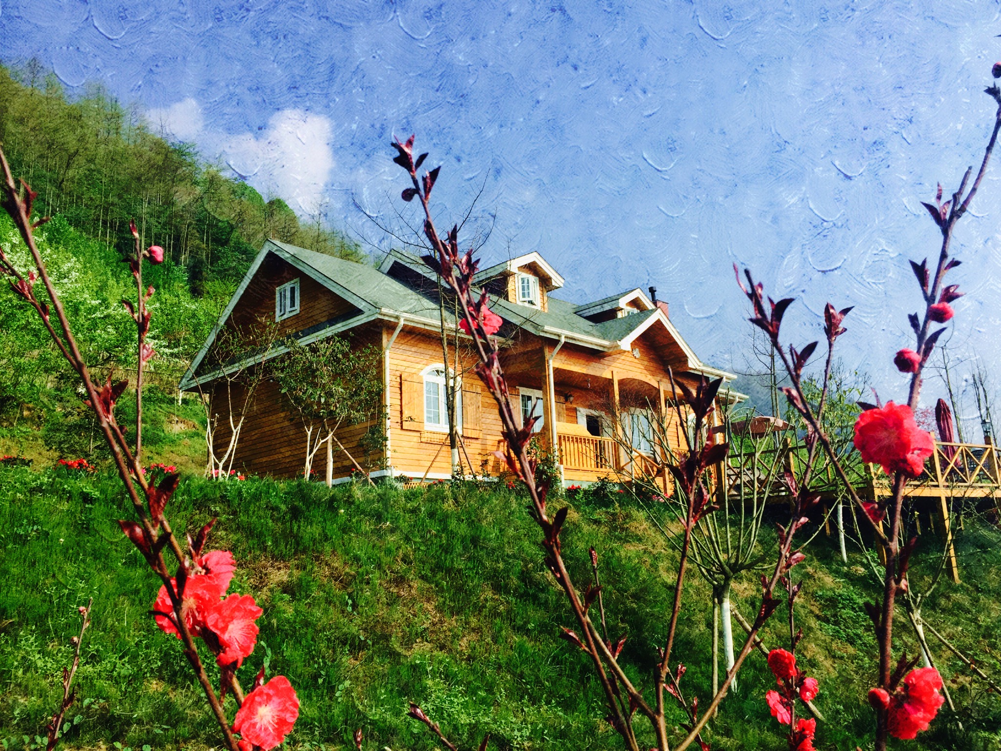 半山木屋别墅 the mt wooden villa