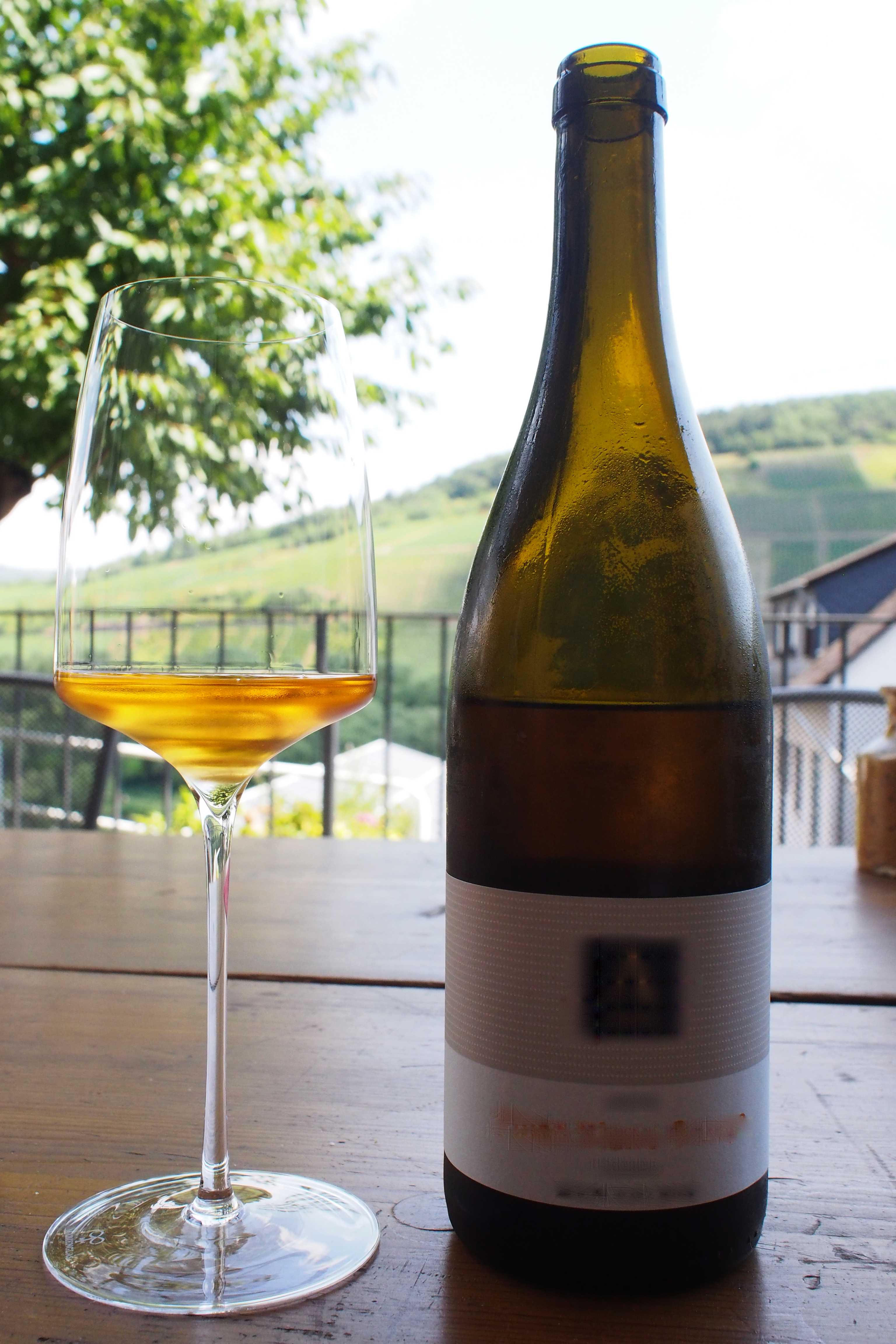 有机葡萄酒品鉴