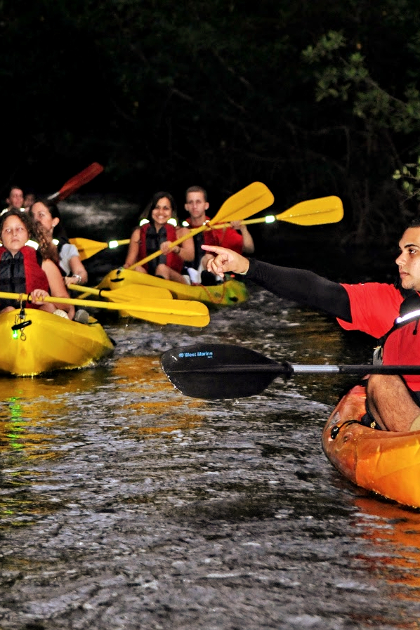 bioluminescent bay kayak tour in fajardo