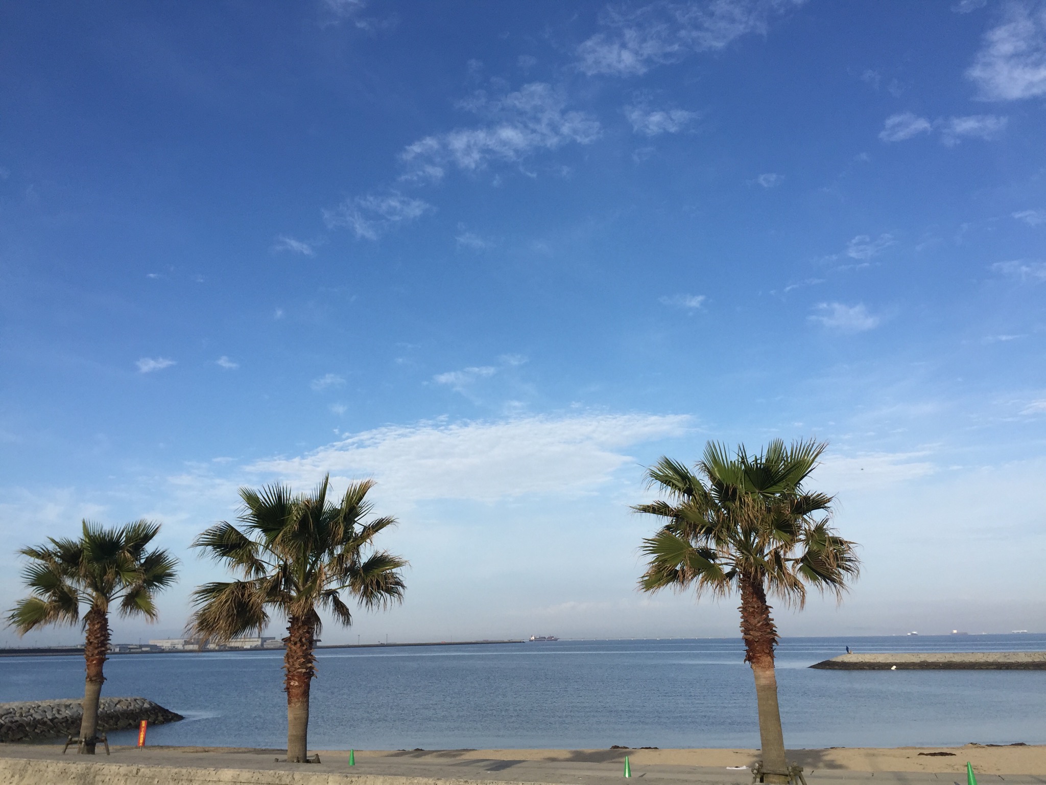 Airbnb爱彼迎 我是中国人 名古屋机场免费接送 国际空港常滑附近的海边欢迎您