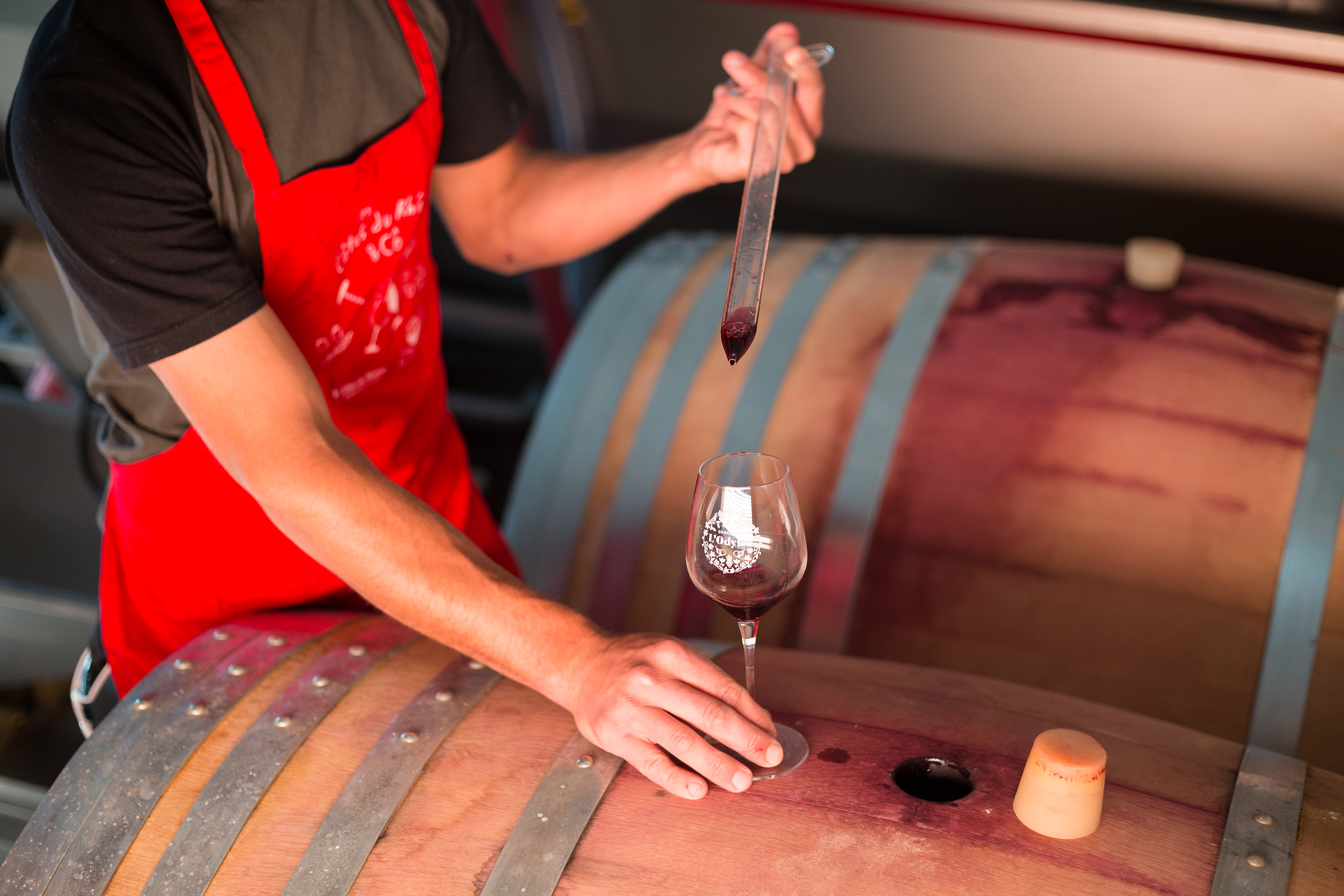 taste the red wine for the oak barrels