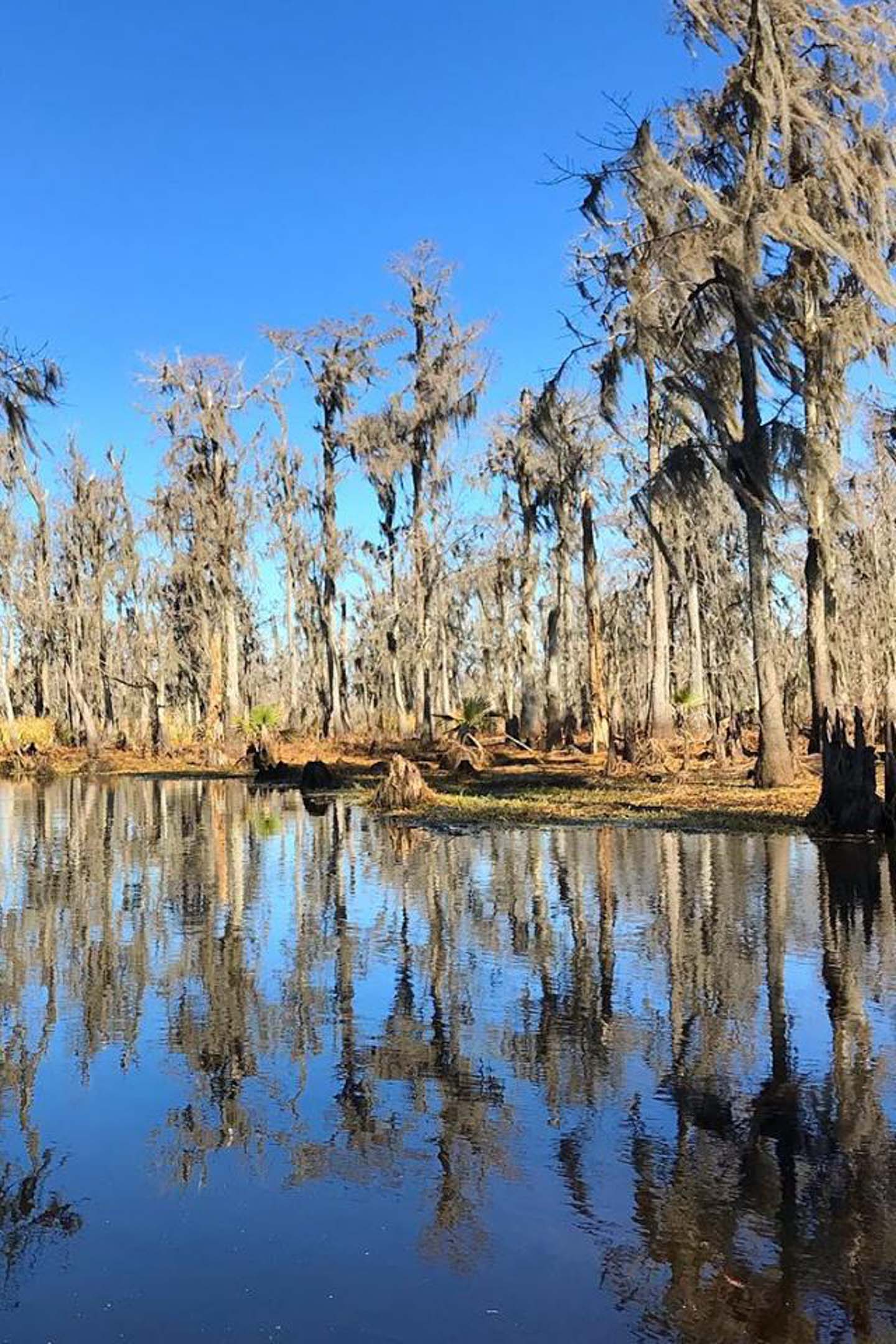 神秘的曼查克沼泽皮划艇之旅