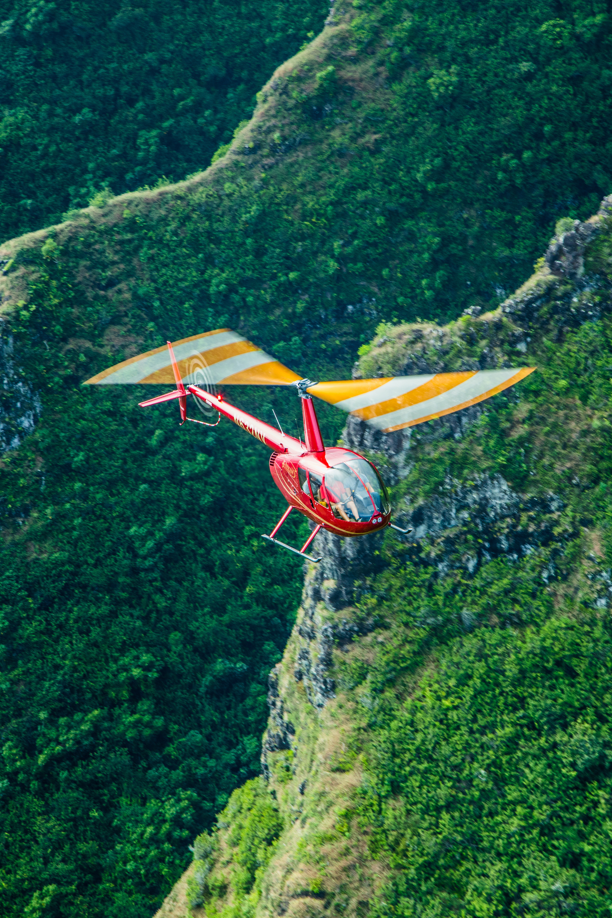 皇家瓦胡岛皇冠直升机之旅 - airbnb