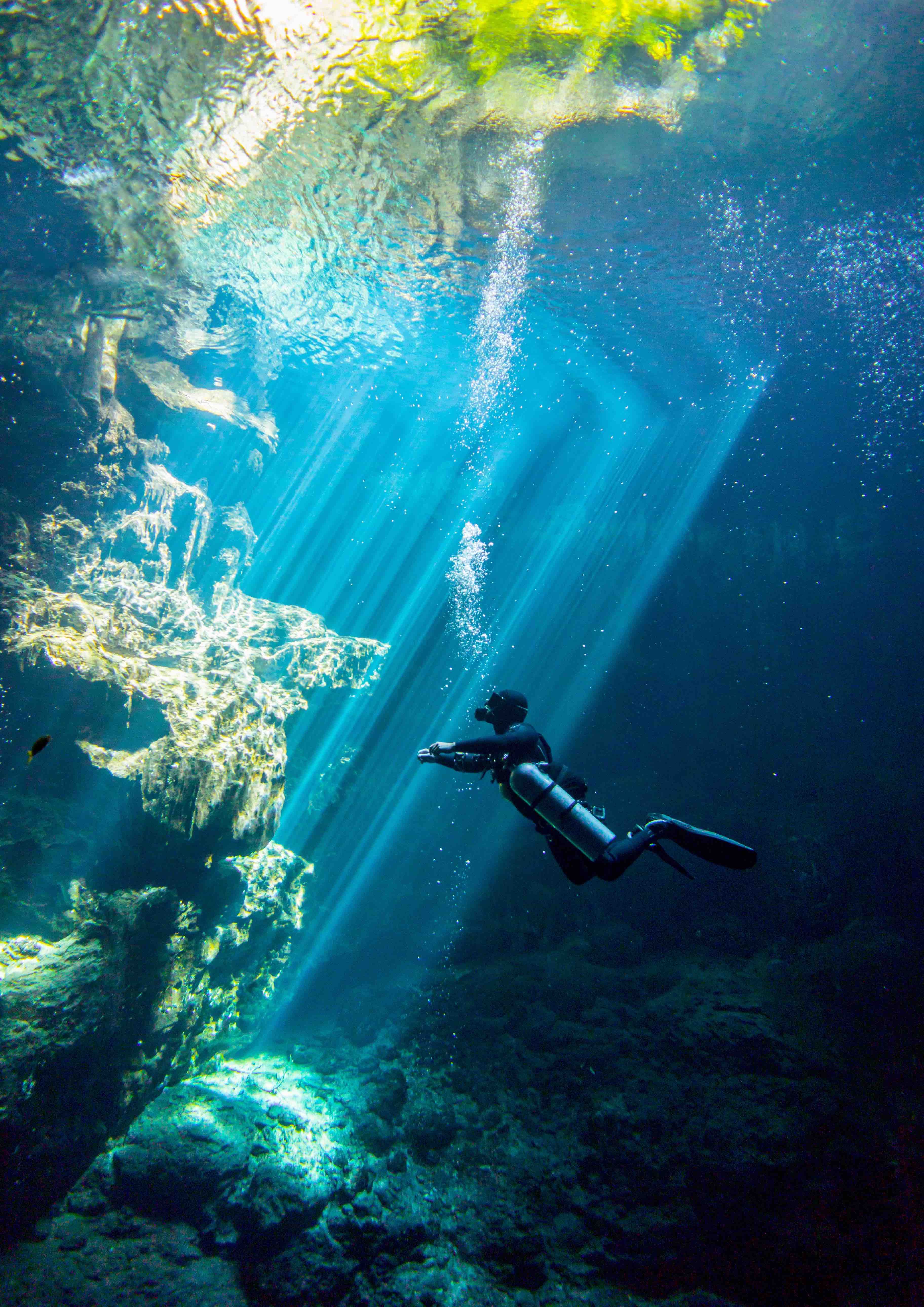 cenotes scuba diving
