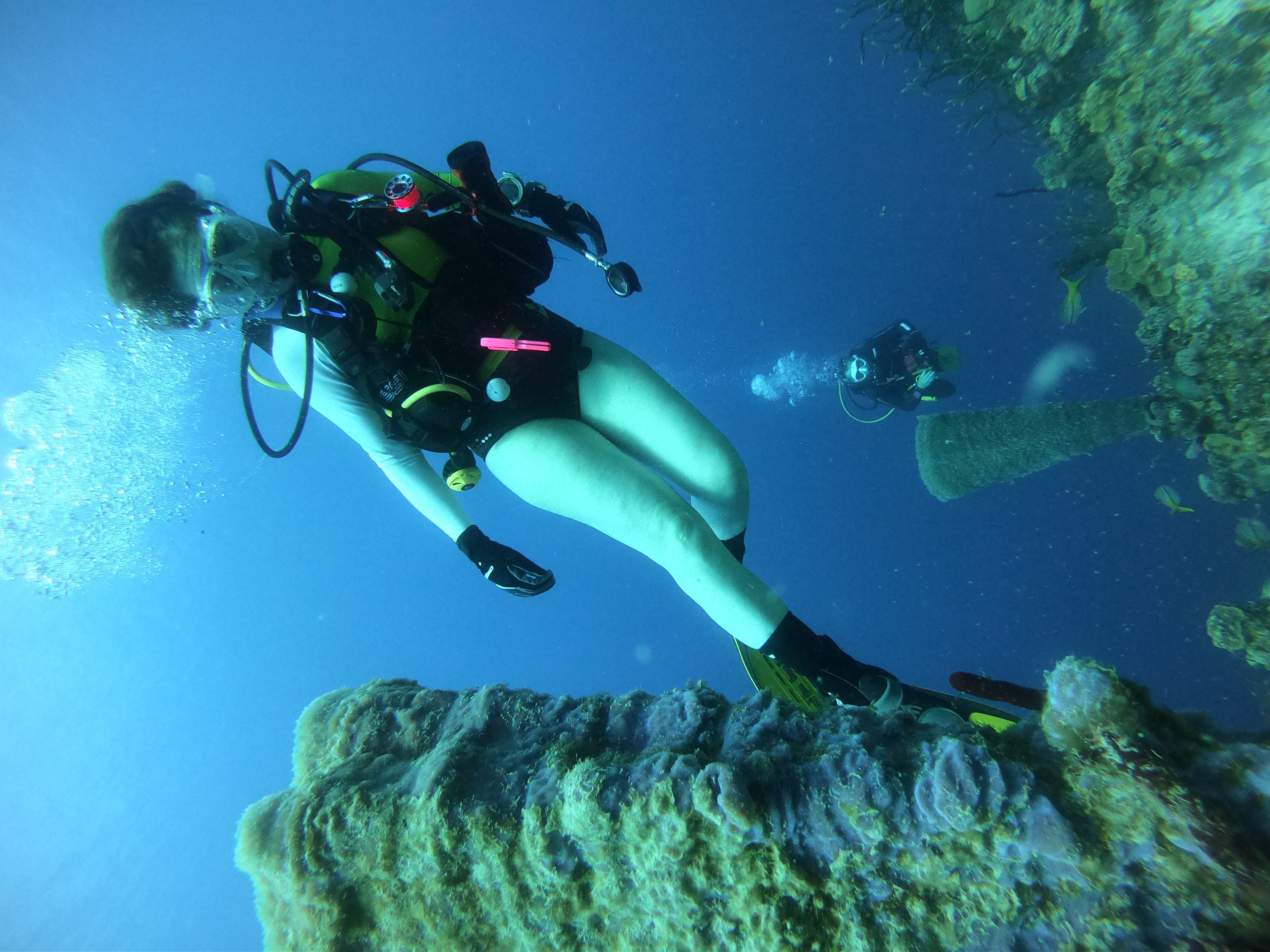 蓝色大海潜水探险 - airbnb