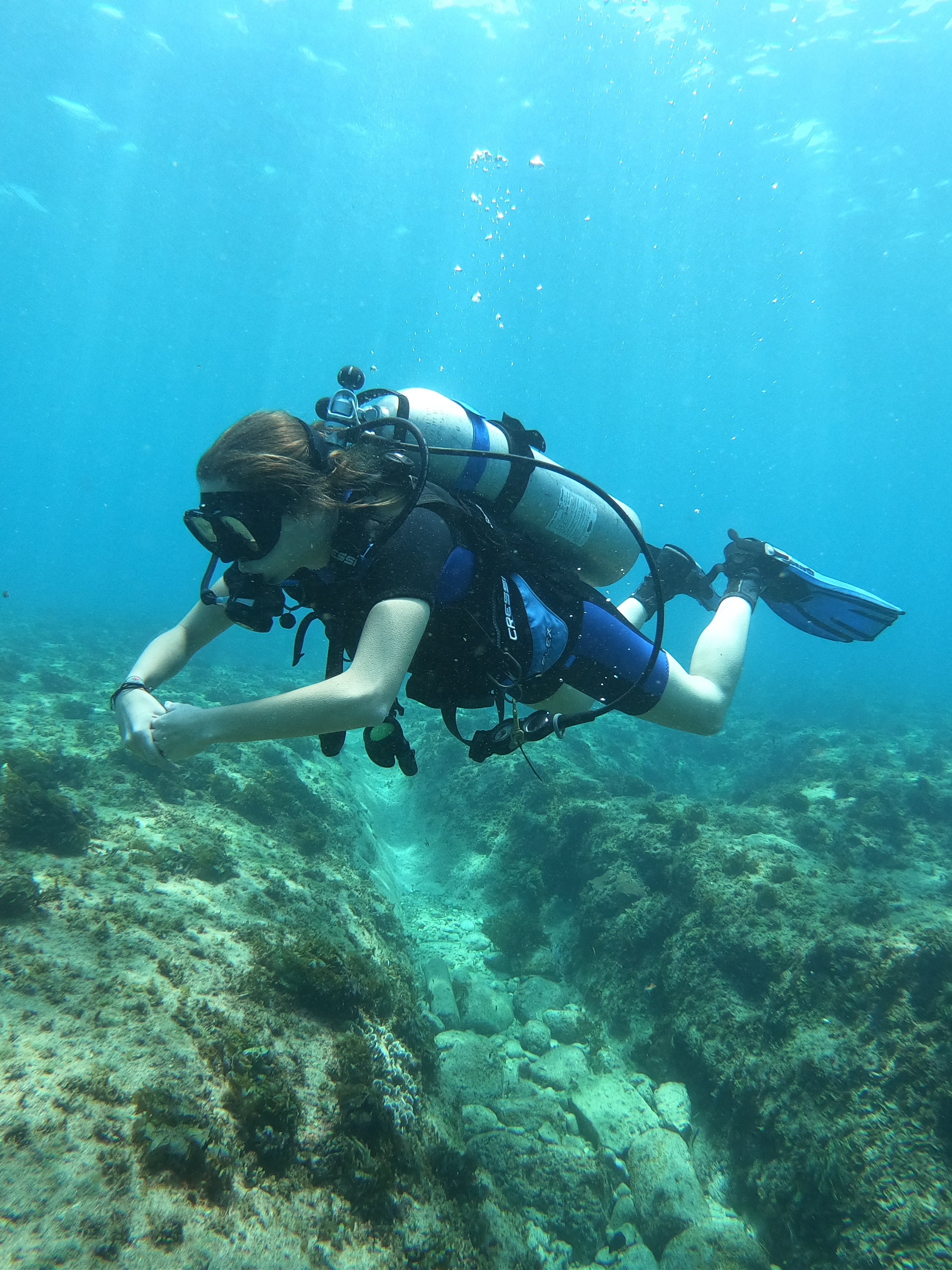 蓝色大海潜水探险 - airbnb