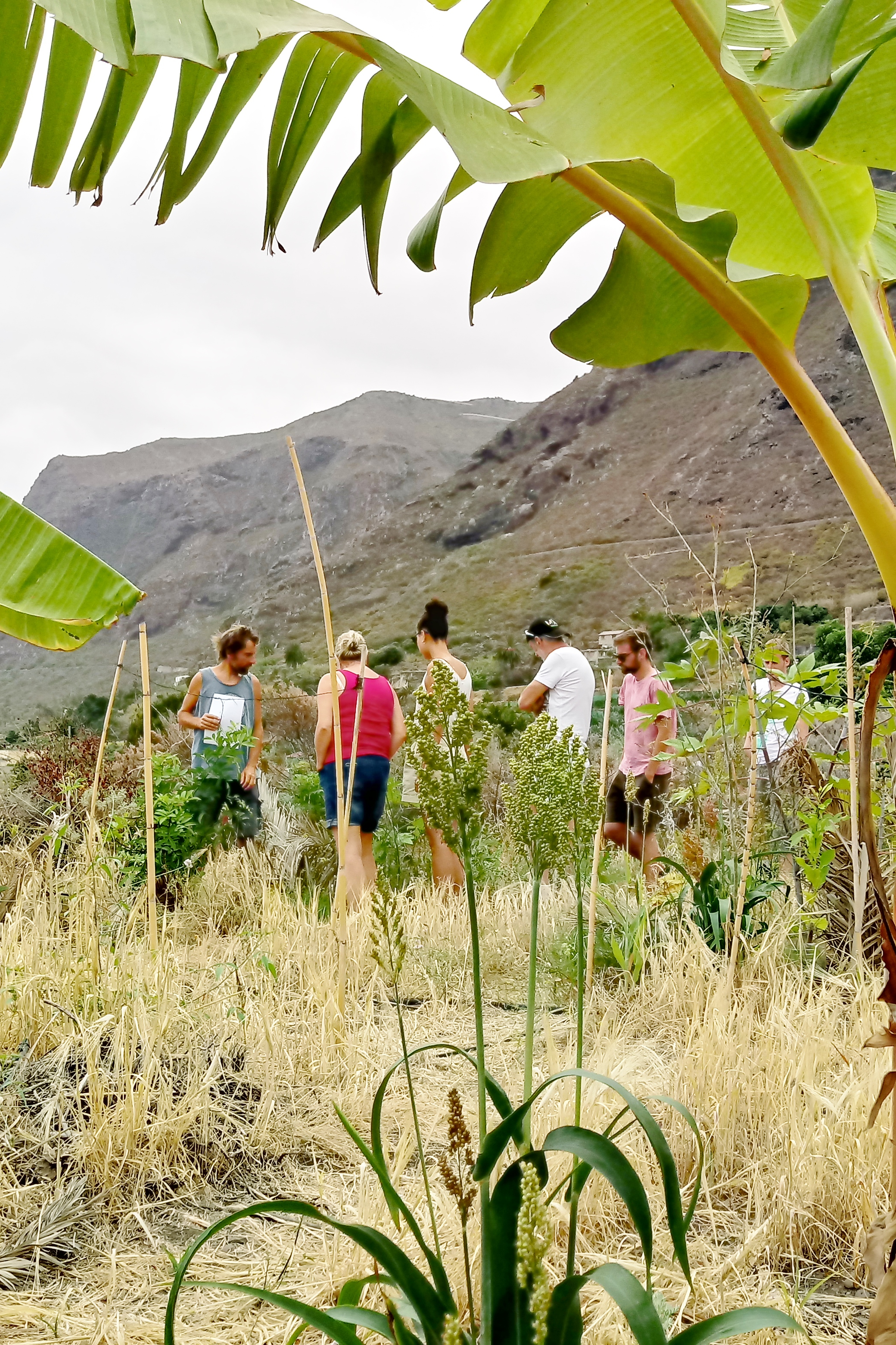 los silos,西班牙用五种感官感受朴门永续设计植物和农业自然景雇和
