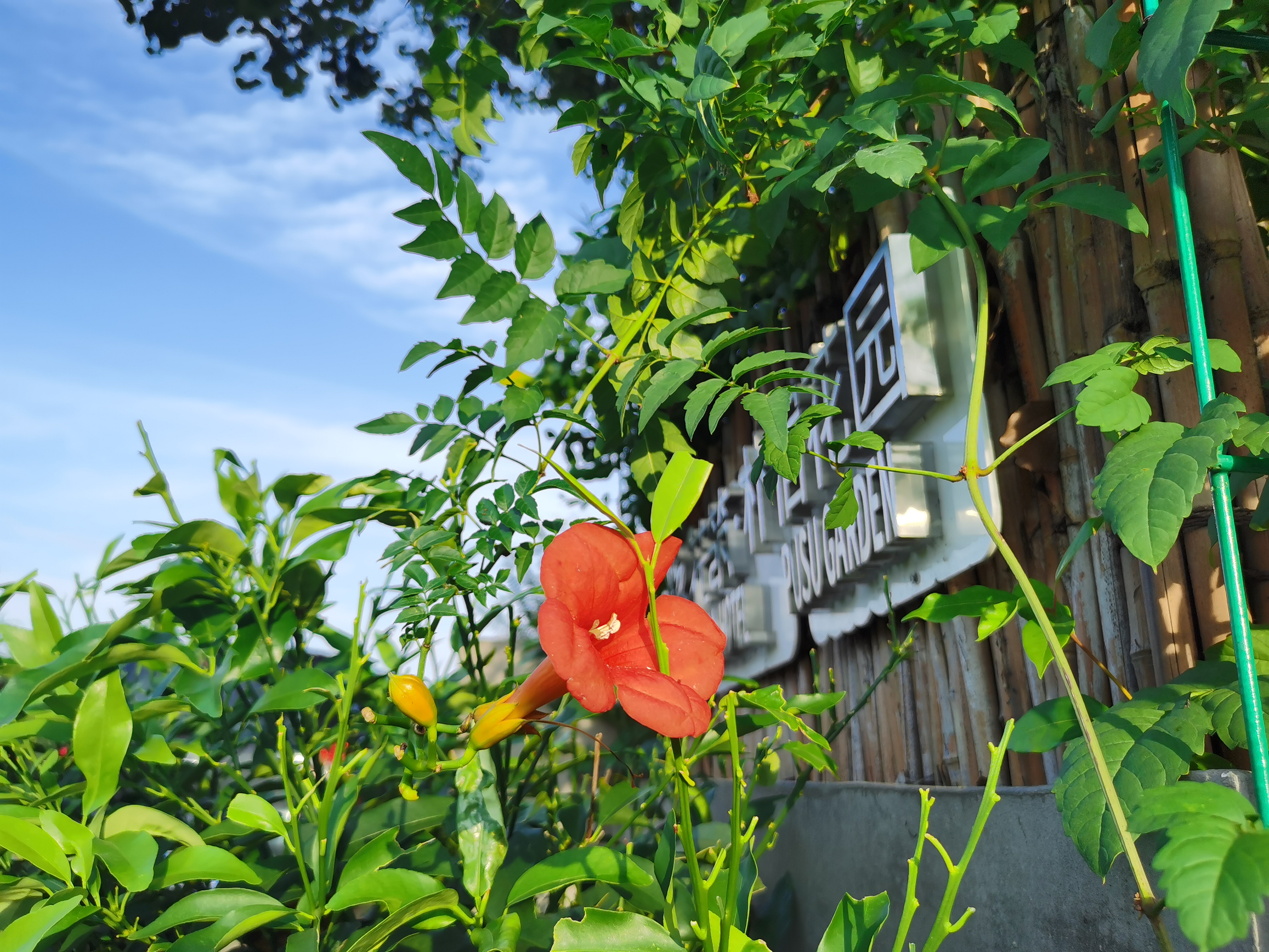 独栋花园别墅 年夜饭 Ktv 烤全羊 篝火 烧烤 火锅 麻将 狼人杀 棋牌 酒吧 音乐吧 草莓采摘 上海市民宿